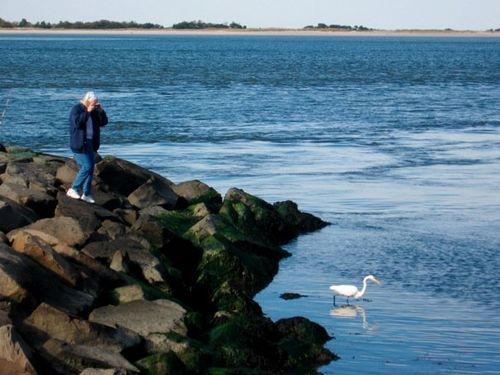 8432_547889094254_55300462_32443372_2512450_n