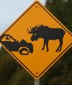 Moose warning sign 300